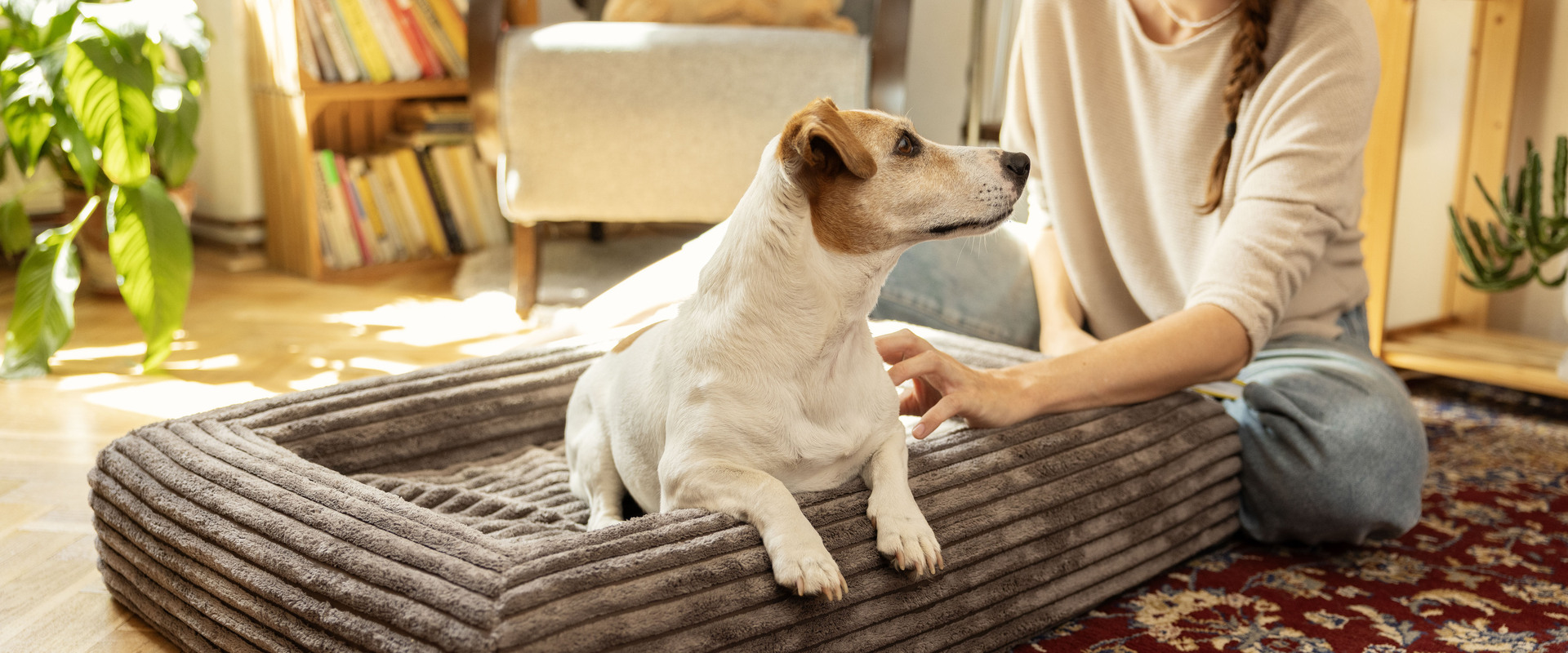 Ortopedický pelíšek pro psy Explorer Dog Cloud